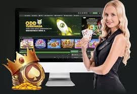 bet 7